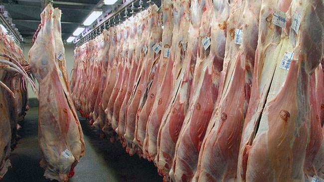 فائو از افزایش قیمت جهانی مواد غذایی خبر داد فائو از افزایش قیمت جهانی مواد غذایی خبر داد