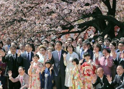 دردسر جدید نخست وزیر ژاپن: مهمانی تماشای شکوفه های گیلاس (