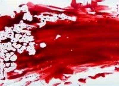 شروع پیگیری های پلیس برای شناسایی عاملان قتل 6 نفر در کنگان