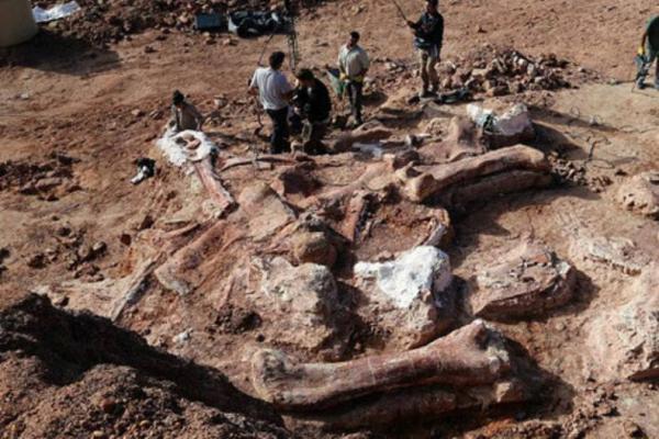 کشف فسیل دایناسور 16 میلیون ساله در هند