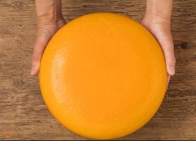 تور هلند: تاریخچه پنیر گودا، پنیر لذیذ و خوشرنگ هلندی!