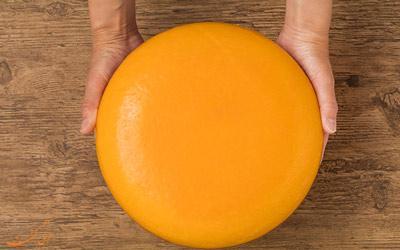 تور هلند: تاریخچه پنیر گودا، پنیر لذیذ و خوشرنگ هلندی!