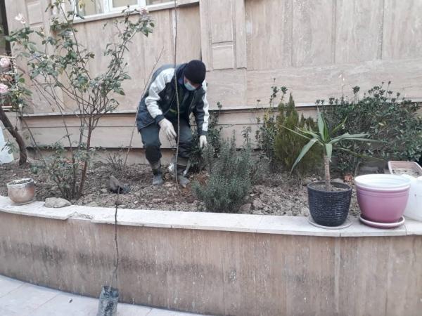طرح نهضت درختکاری در منازل شهروندان منطقه 11 شروع شد