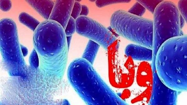 ابتلای 3 نفر به بیماری وبا در چهارمحال و بختیاری