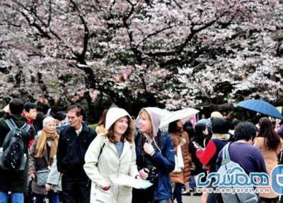 بایدها و نبایدهای فرهنگی در ژاپن برای گردشگران
