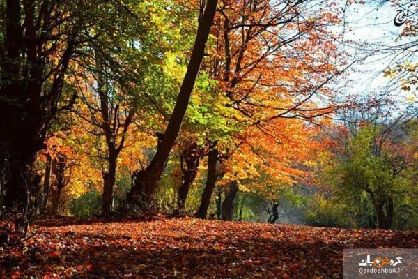 پارک جنگلی بزچفت یا بابلکنار؛ بهشت گمشده بابل، عکس