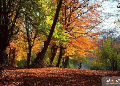پارک جنگلی بزچفت یا بابلکنار؛ بهشت گمشده بابل، عکس